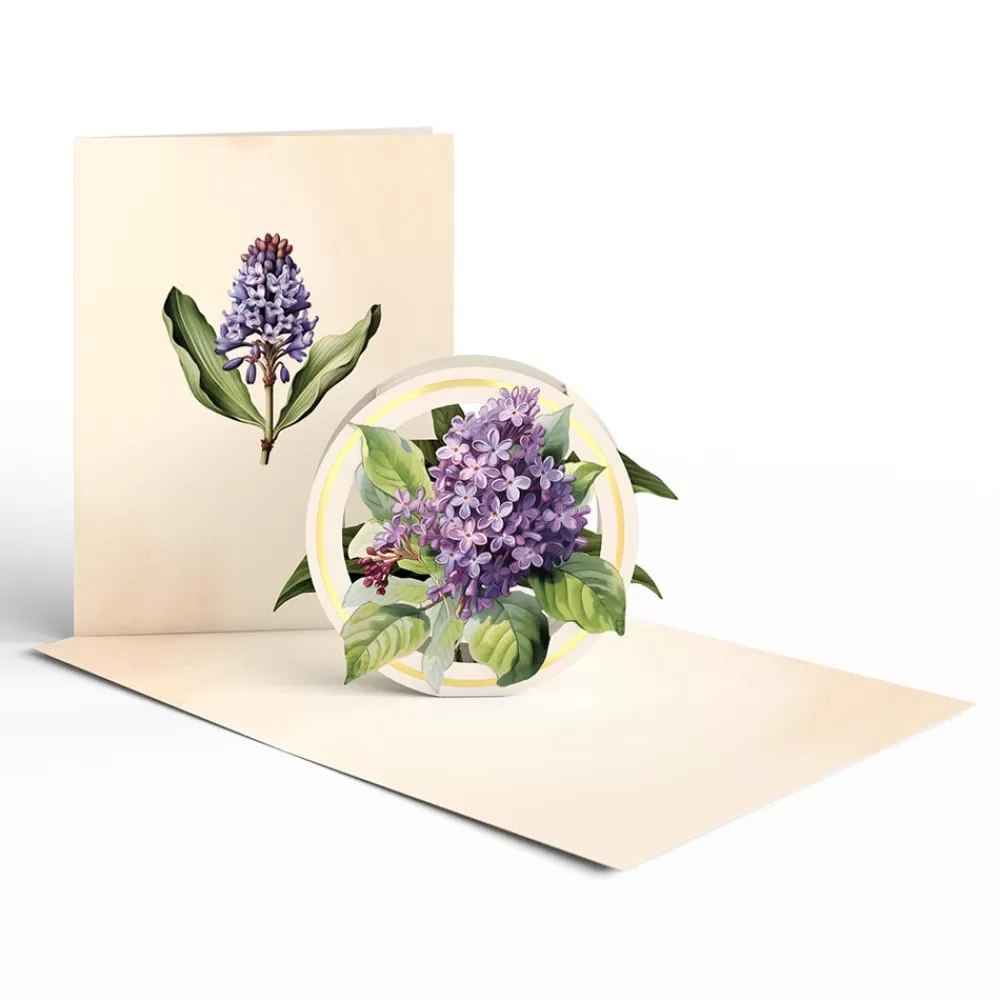 Lovepop Value Packs | Just Because | Beautiful Botanicals Box Set (Assorted 12-Pack): Paperpop® Card