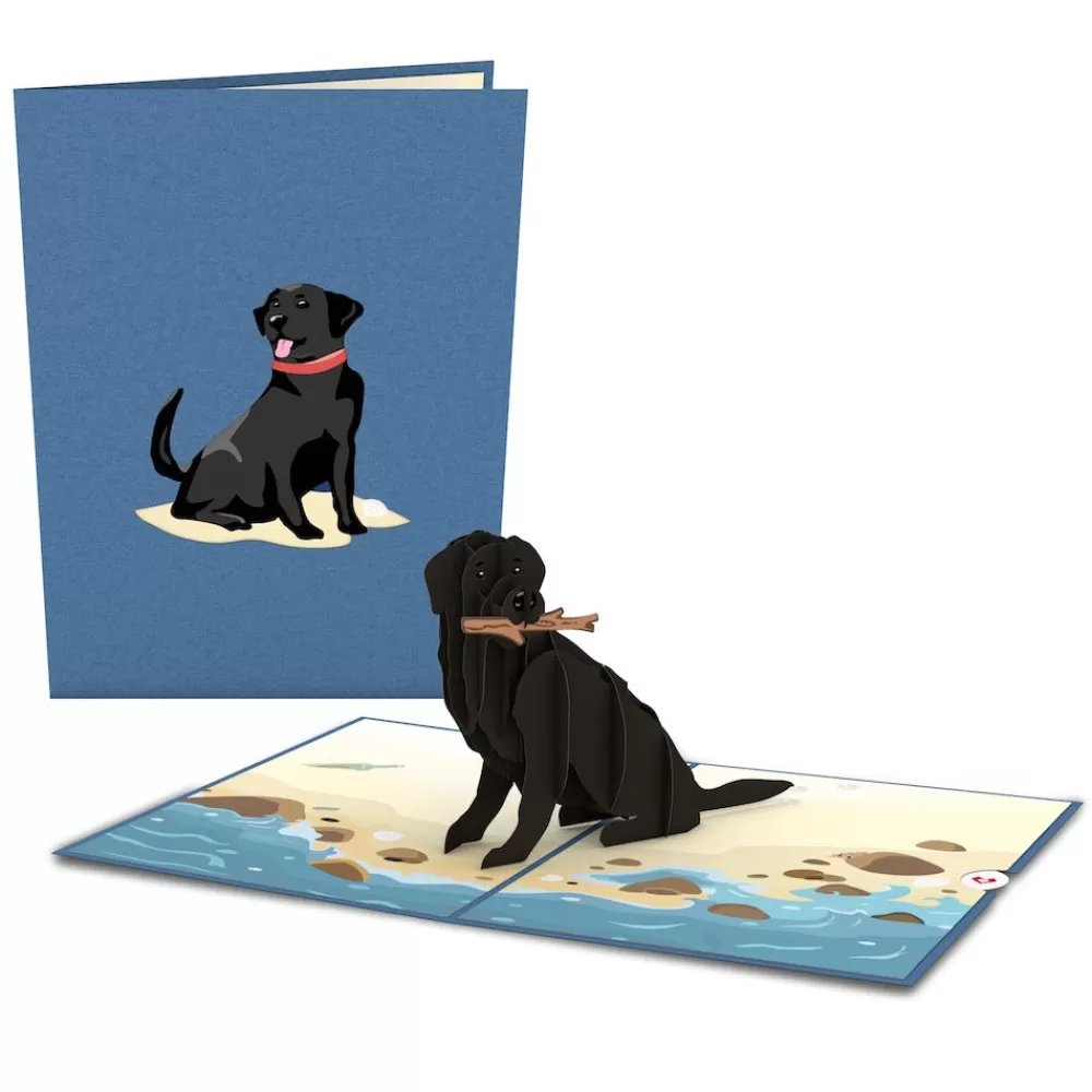 Lovepop Greeting Cards | Just Because | Black Lab Pop-Up Card