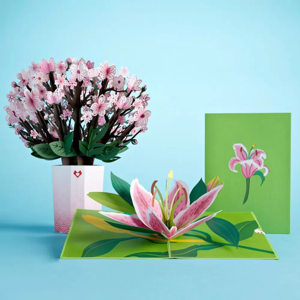 Lovepop Pop-Up Bouquets | Card & Gift Bundles | Cherry Blossom & Lily Bloom Bundle