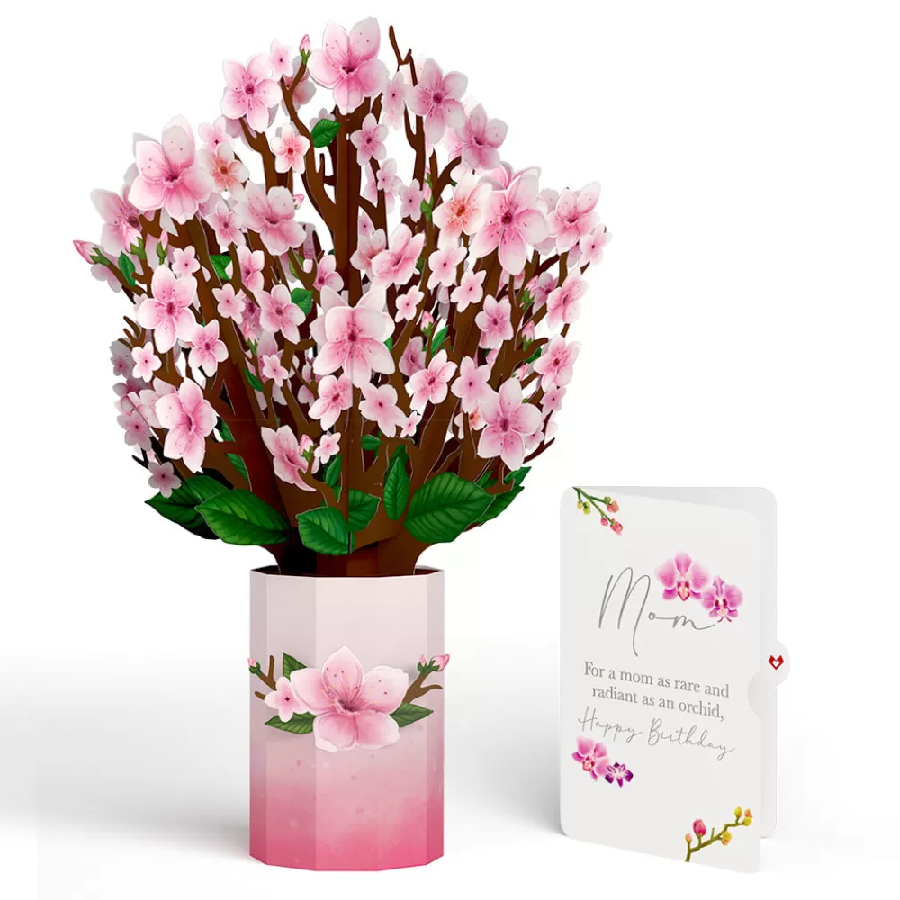Lovepop Mom | Her | Cherry Blossom Birthday Bouquet and Sentiment Set for Mom