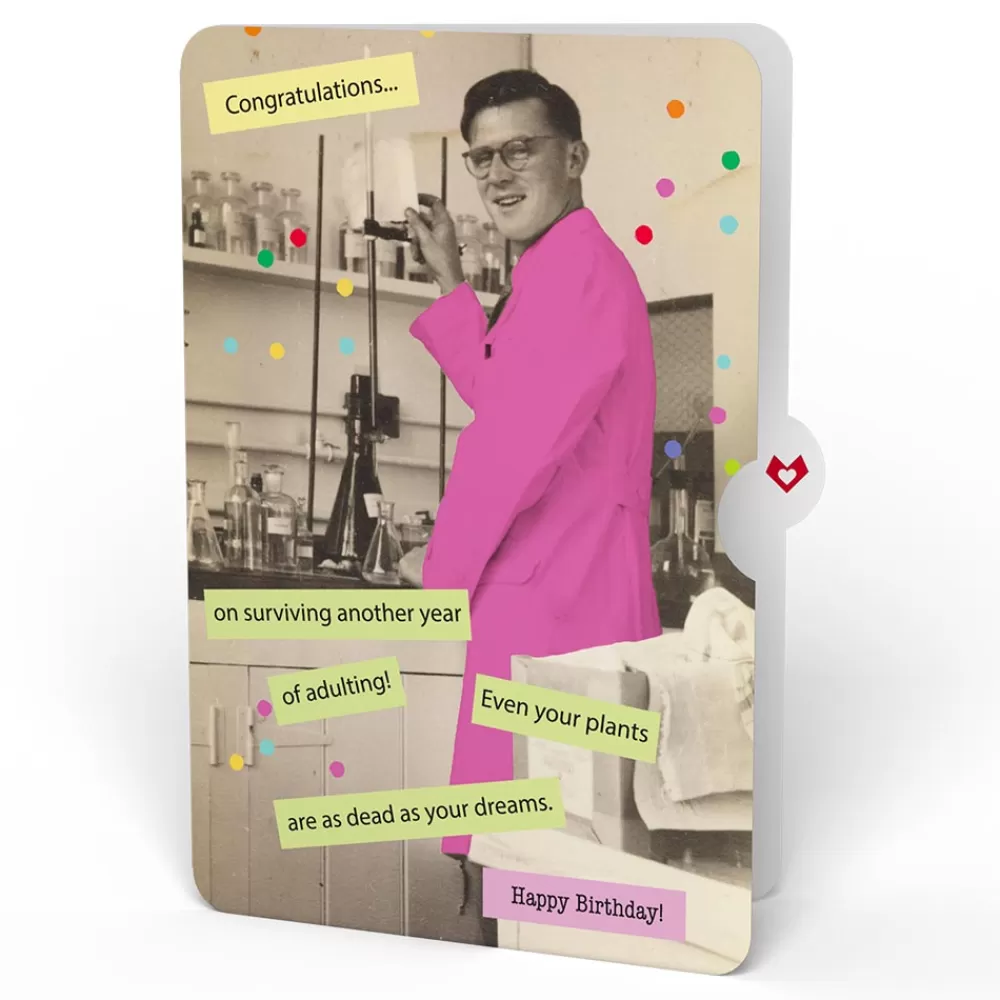 Lovepop Birthday | Confetti Cake Birthday Pop-Up Card and Survive Another Year of Adulting Sentiment Set