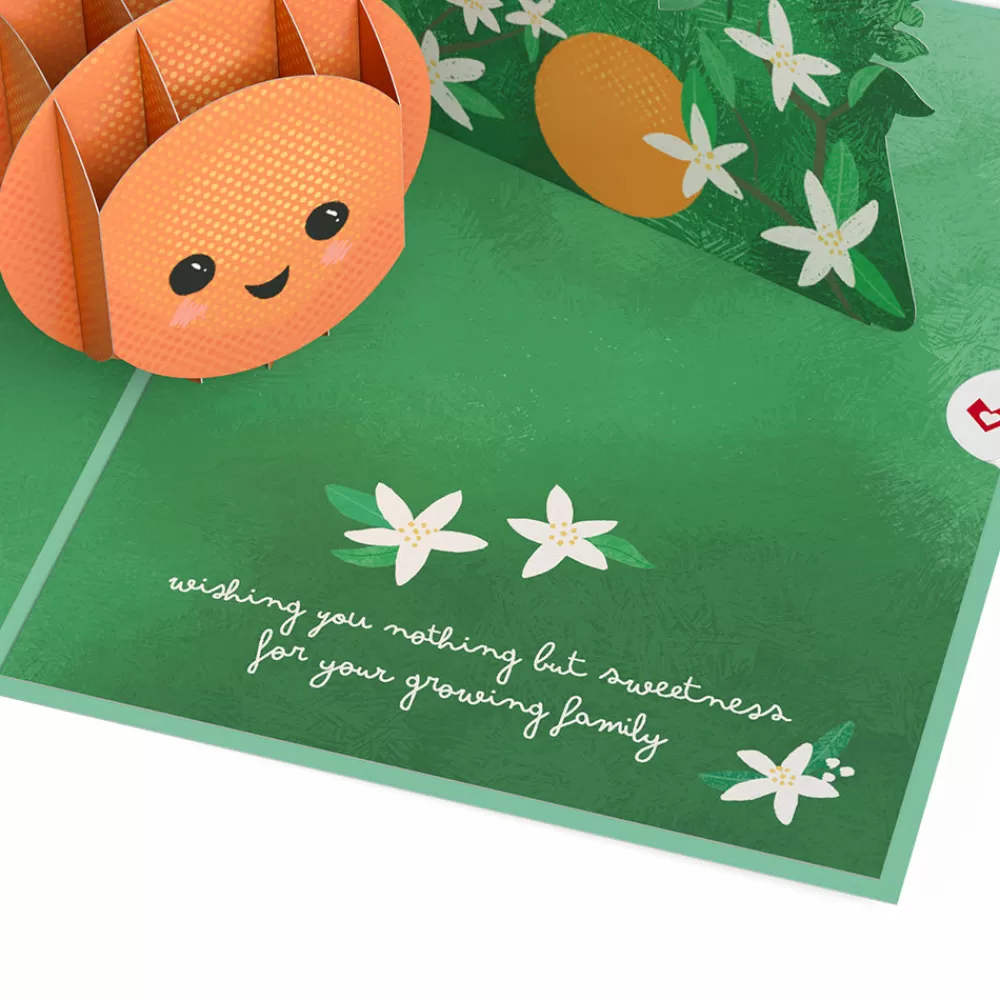 Lovepop Baby | Congratulations | Congratulations On Your Cutie New Baby Pop-Up Card