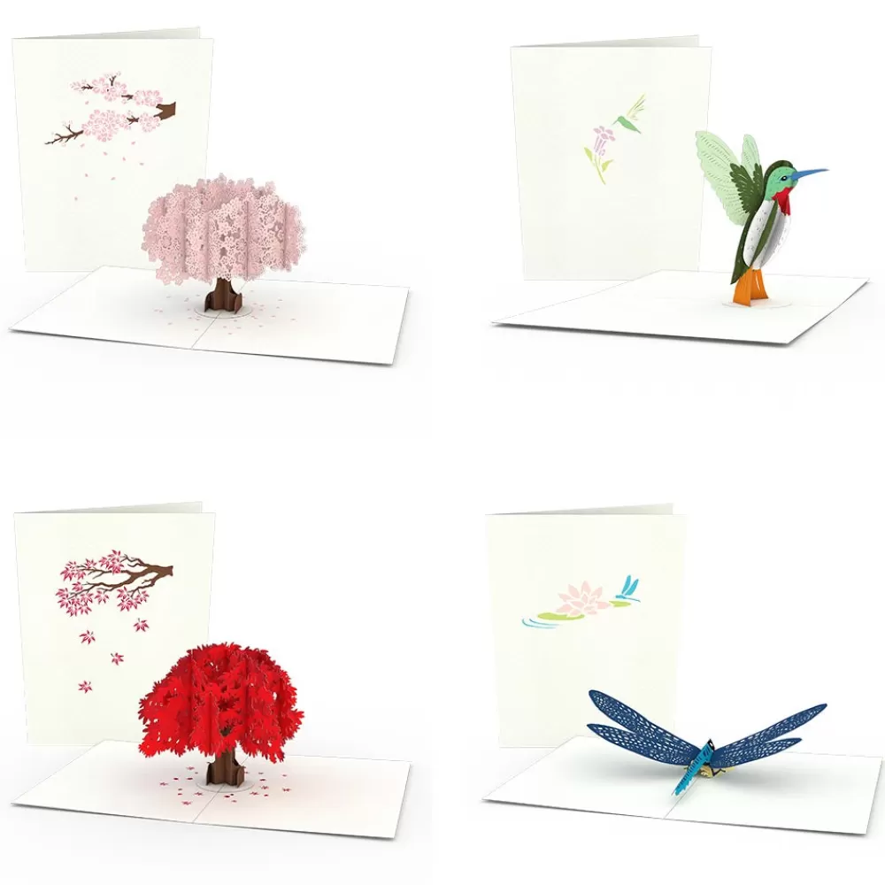 Lovepop Notecards | Congratulations | Garden Notecards (Assorted 4-Pack)