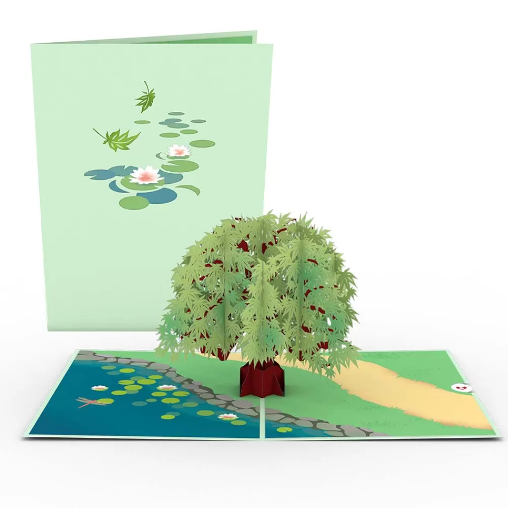 Lovepop Greeting Cards | Just Because | Green Maple Tree Pop-Up Card