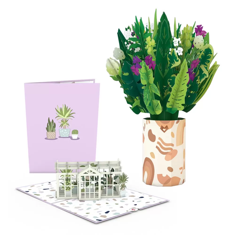 Lovepop Card & Gift Bundles | Birthday | Greenhouse Plant Bundle