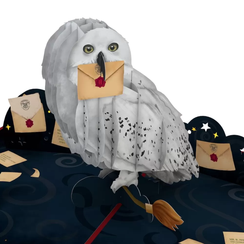 Lovepop Greeting Cards | Birthday | Harry Potter™ Hedwig™ Birthday Delivery Pop-Up Card