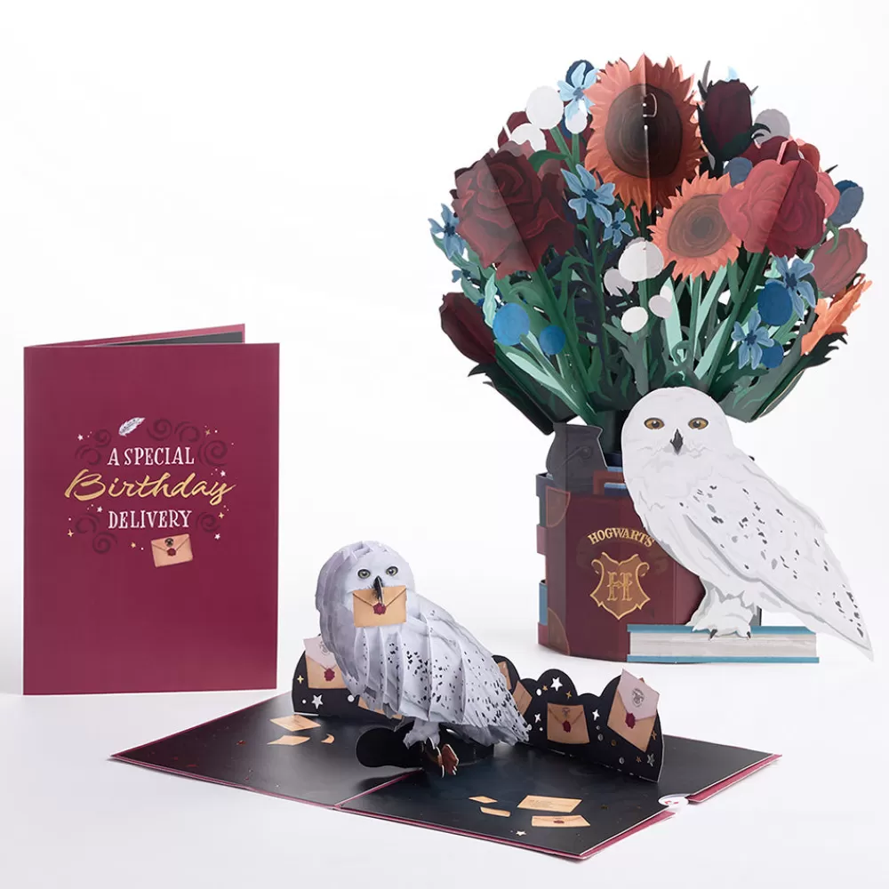 Lovepop Pop-Up Bouquets | Card & Gift Bundles | Harry Potter™ Hedwig™ Birthday Pop-Up Card & Flower Buds Bouquet Bundle