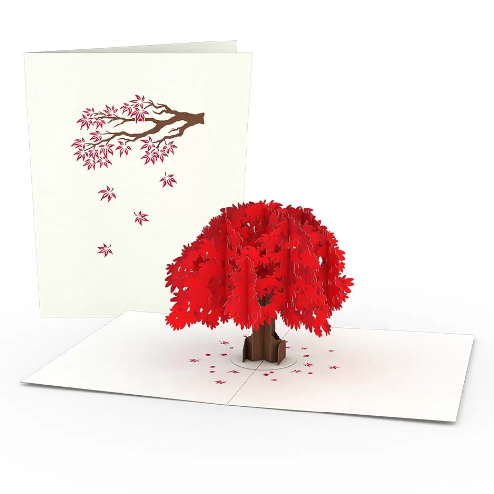 Lovepop Notecards | Just Because | Japanese Maple Notecards (4-Pack)