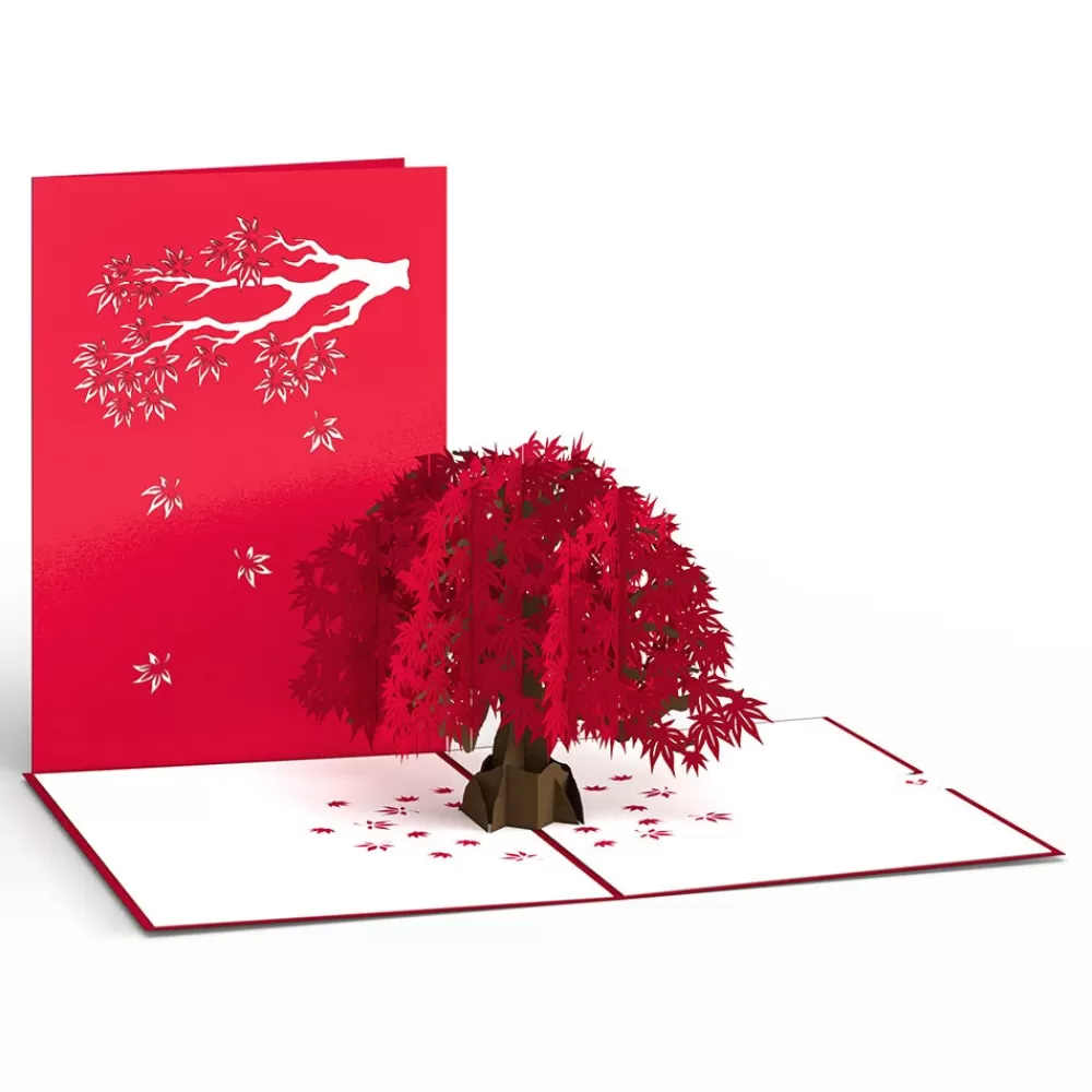 Lovepop Greeting Cards | Anniversary | Japanese Maple Pop-Up Card