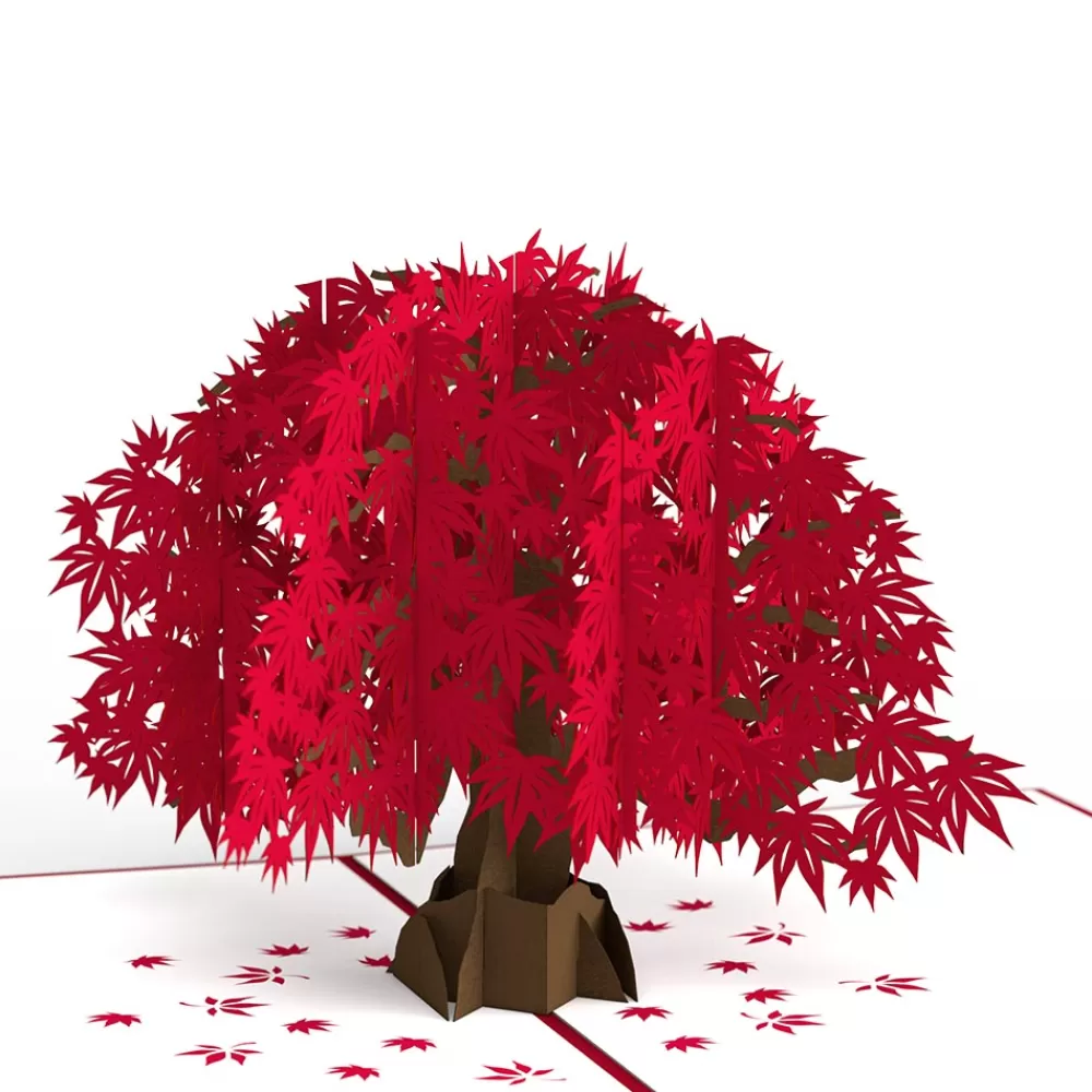 Lovepop Greeting Cards | Anniversary | Japanese Maple Pop-Up Card