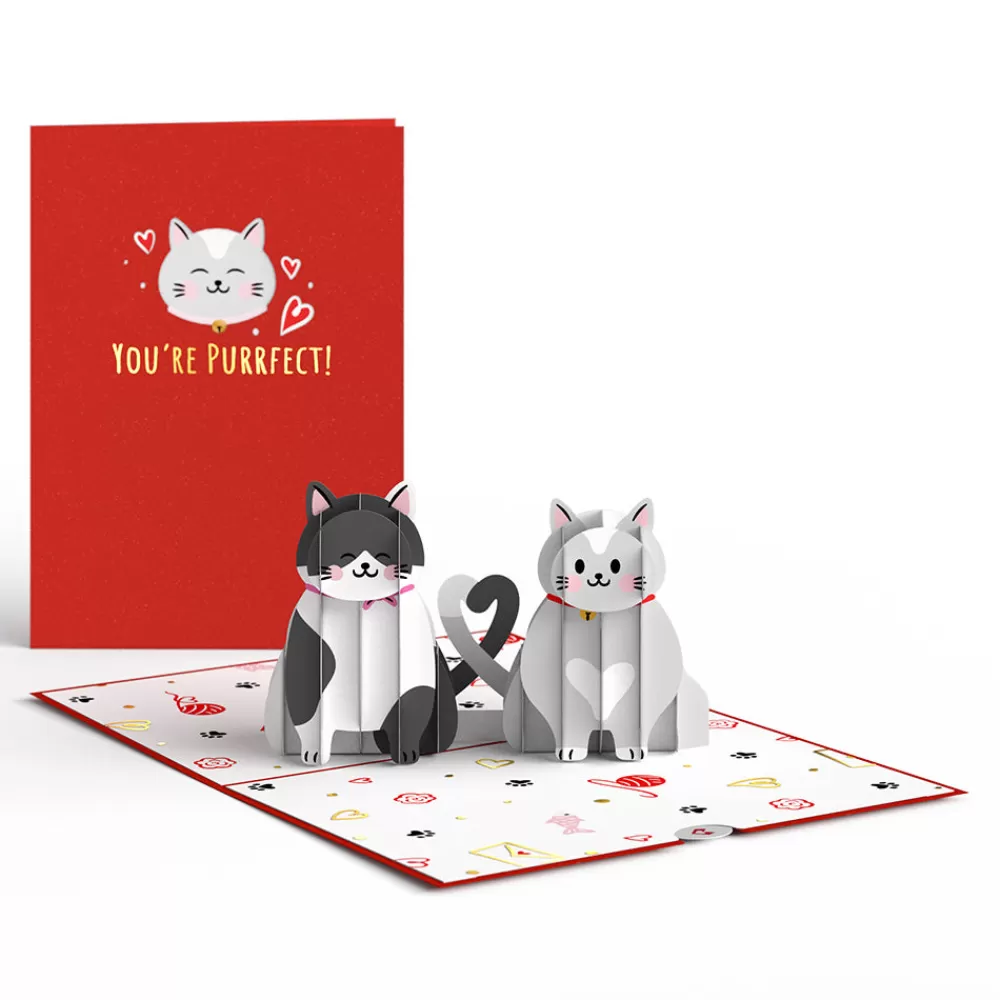 Lovepop Greeting Cards | Anniversary | Love Cats Pop-Up Card