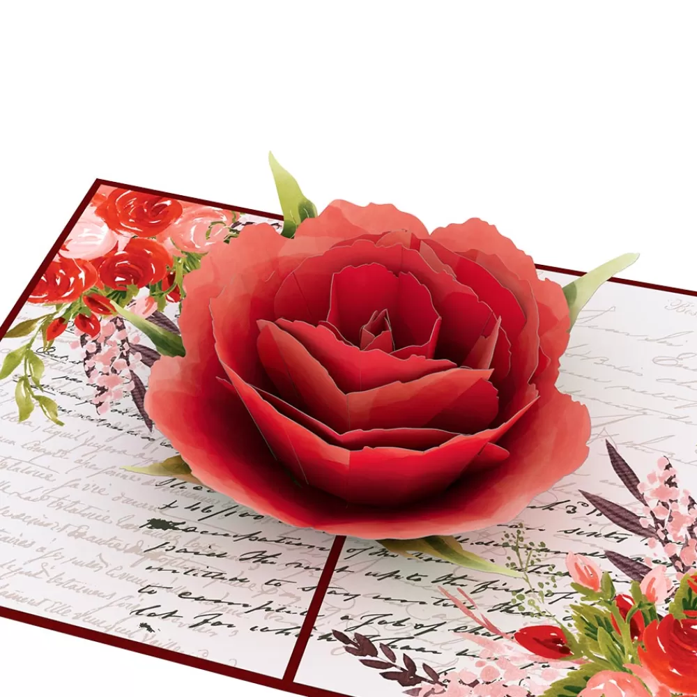 Lovepop Greeting Cards | Anniversary | Love Rose Bloom Pop-Up Card