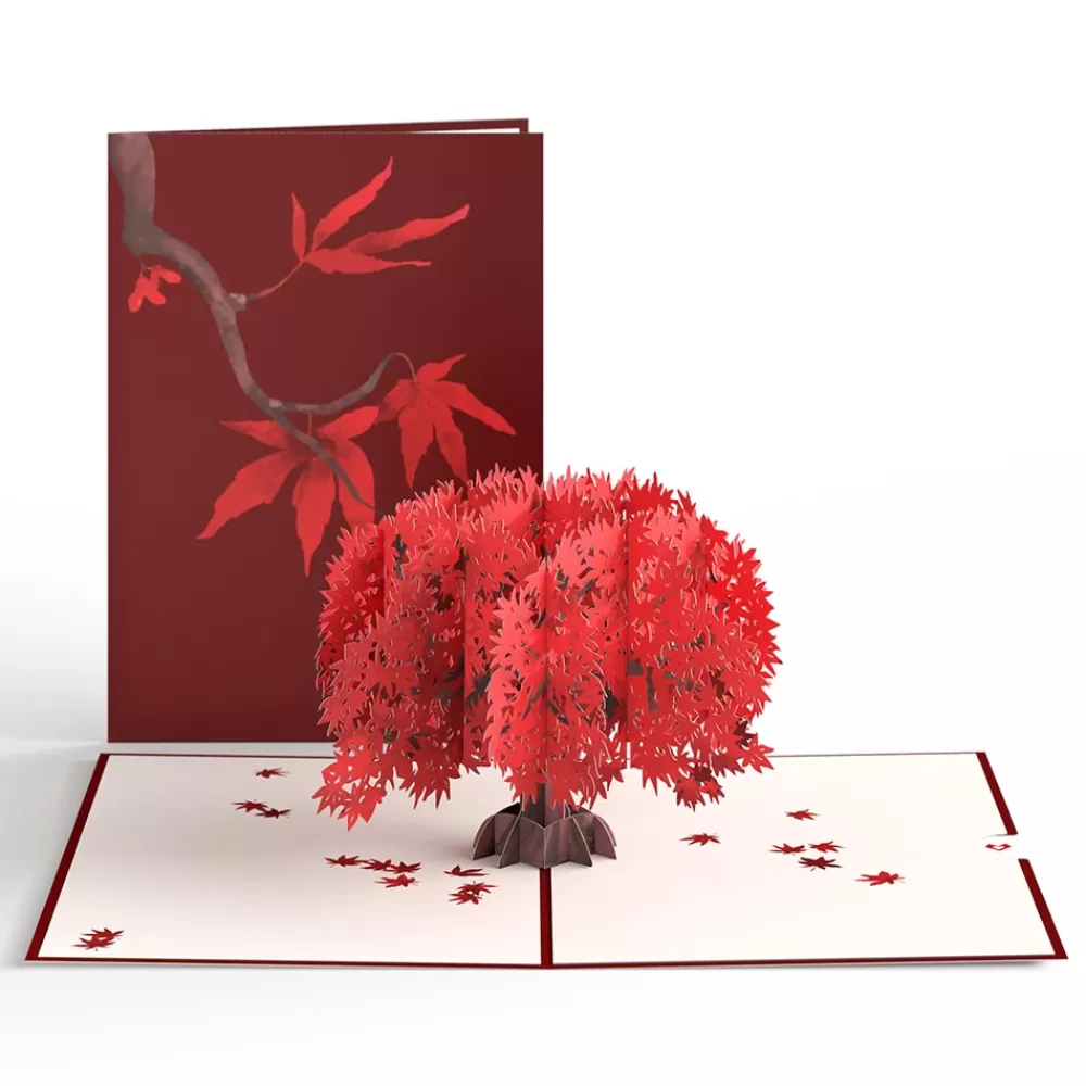 Lovepop Greeting Cards | Just Because | Majestic Japanese Maple Pop-Up Card