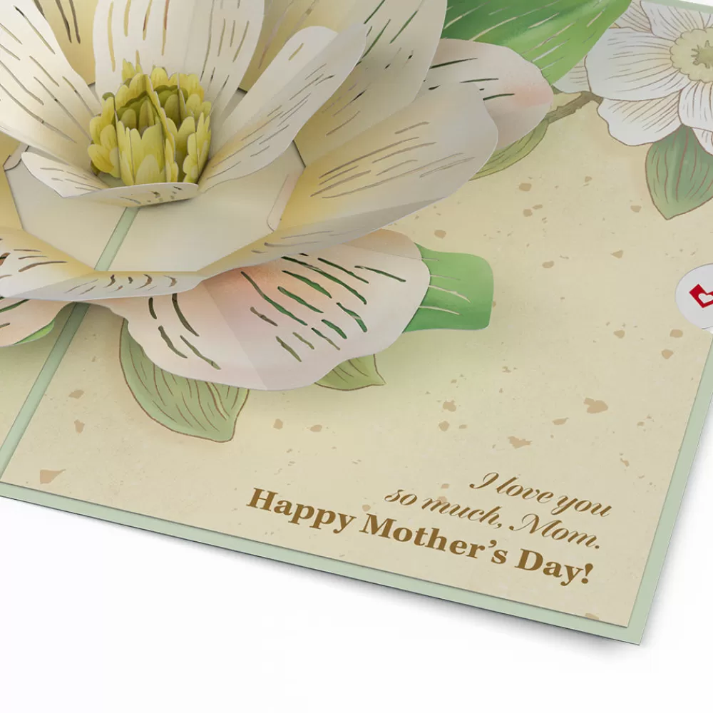 Lovepop Greeting Cards | Mother'S Day 5/11 | Mother’s Day Magnolia Pop-Up Card