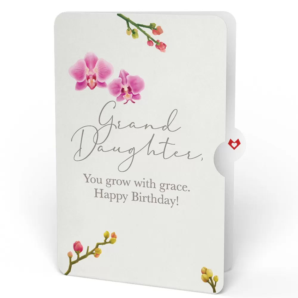 Lovepop Pop-Up Bouquets | Orchid Birthday Bouquet and Sentiment Set for Granddaughter