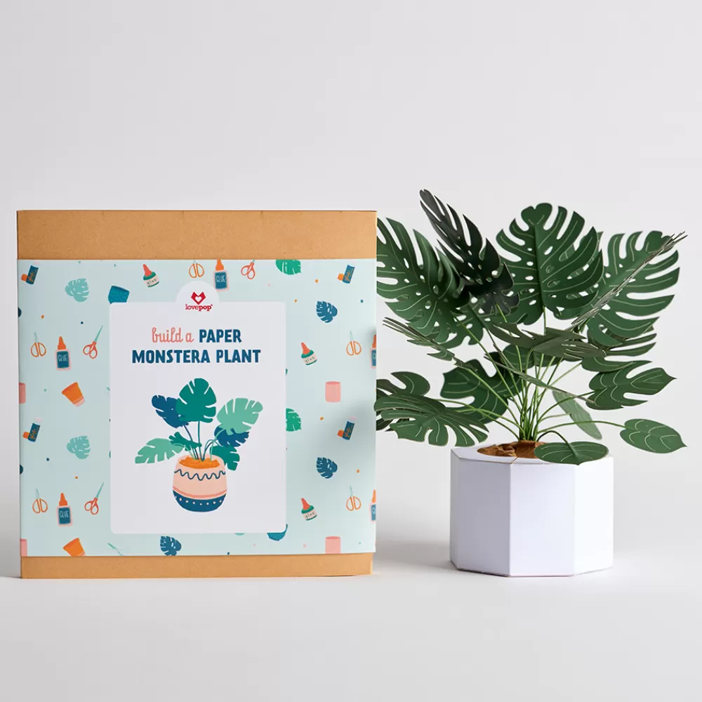 Lovepop Pop-Up Bouquets | Handcrafted Paper Flowers | Paper Monstera Plant DIY Kit