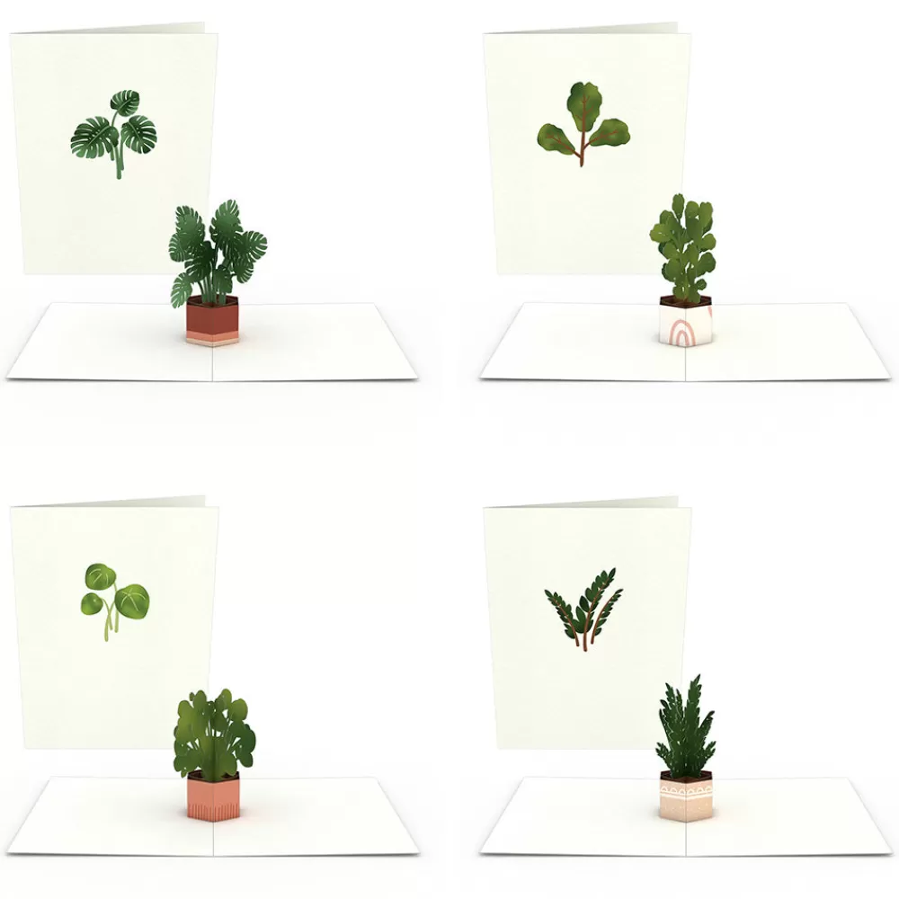 Lovepop Notecards | Just Because | Plants Notecards (Assorted 4-Pack)