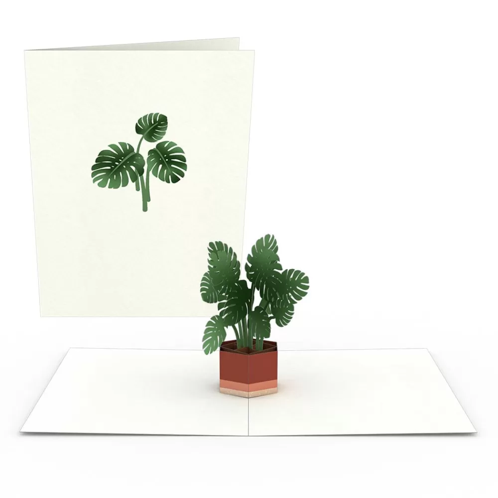 Lovepop Notecards | Just Because | Plants Notecards (Assorted 4-Pack)