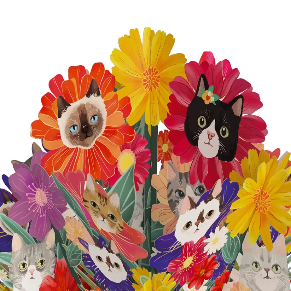 Lovepop Pop-Up Bouquets | Purr-fect Cat Birthday Bouquet and Space Laser Cats Sentiment Set