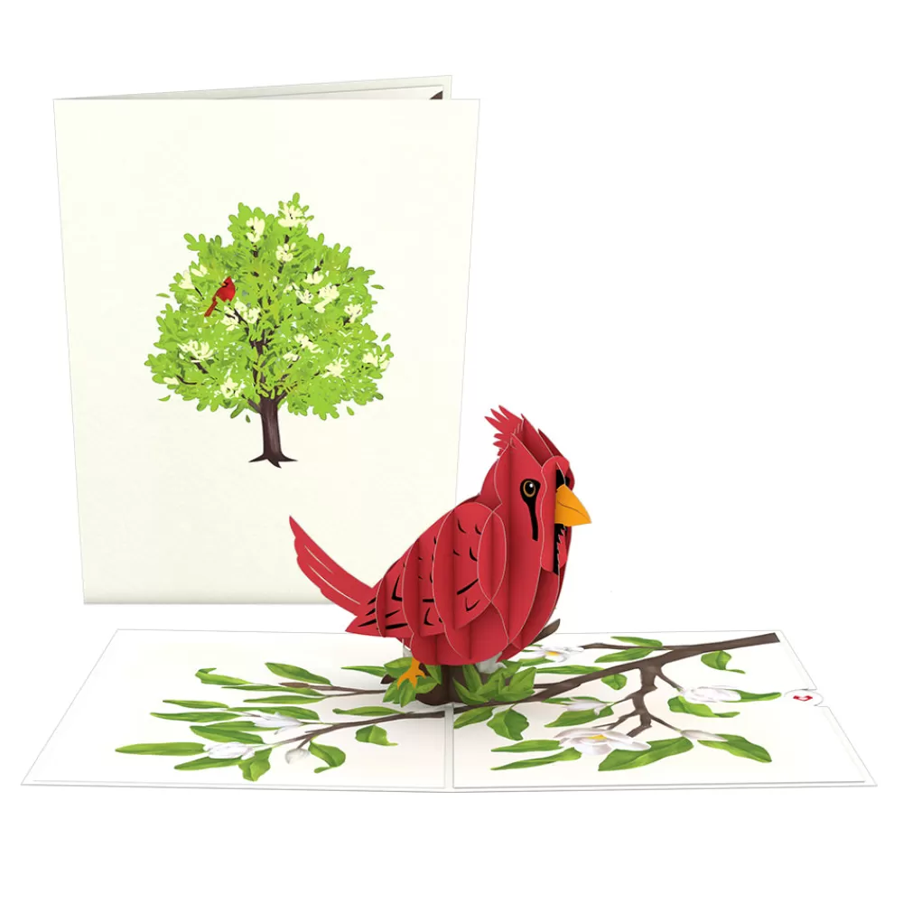 Lovepop Greeting Cards | Just Because | Radiant Cardinal Pop-Up Card