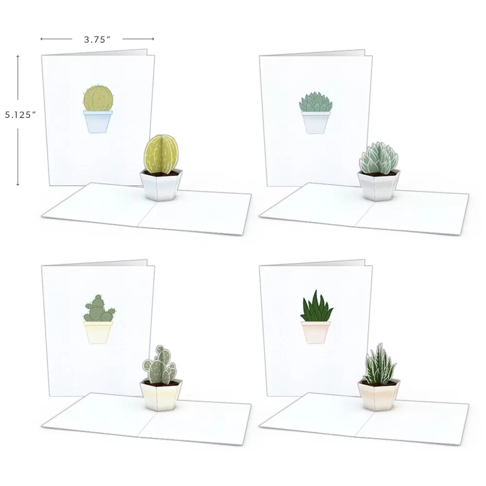 Lovepop Notecards | Just Because | Succulent Notecards (Assorted 4-Pack)