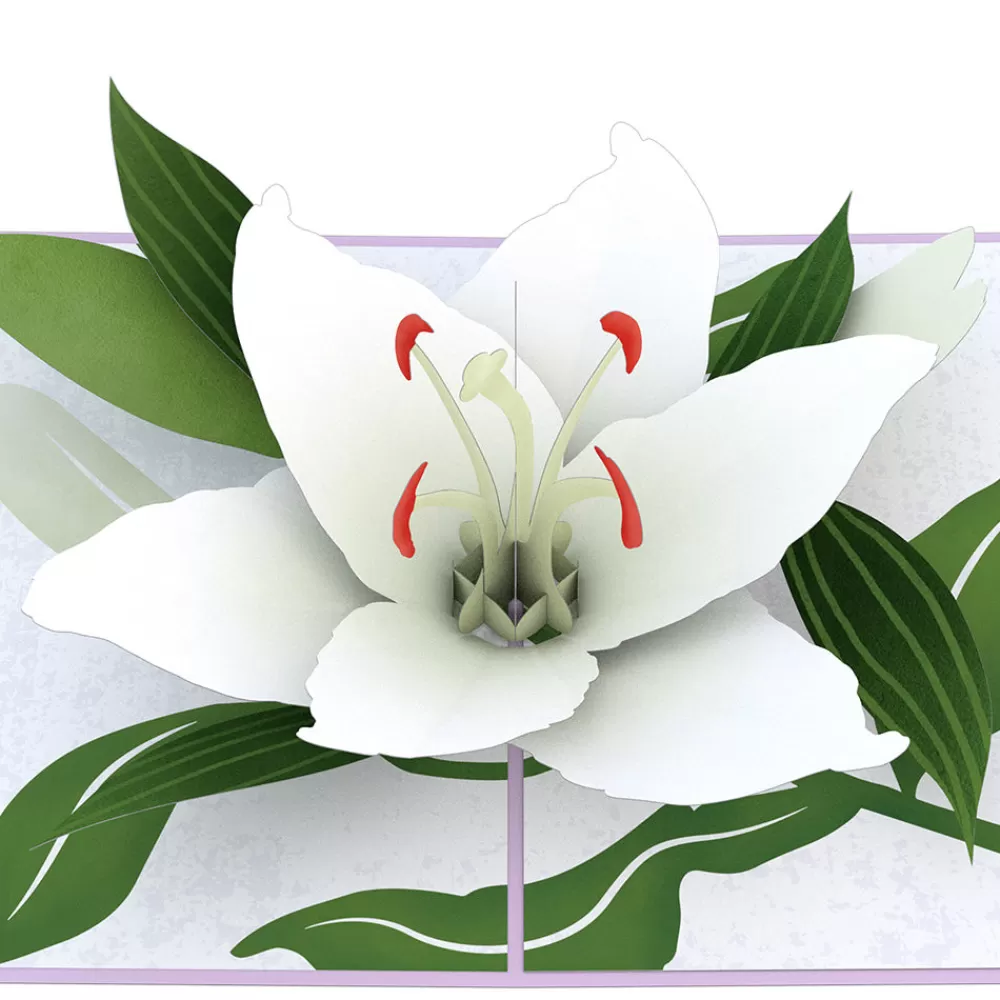 Lovepop Greeting Cards | Sympathy | Sympathy Lily Pop-Up Card