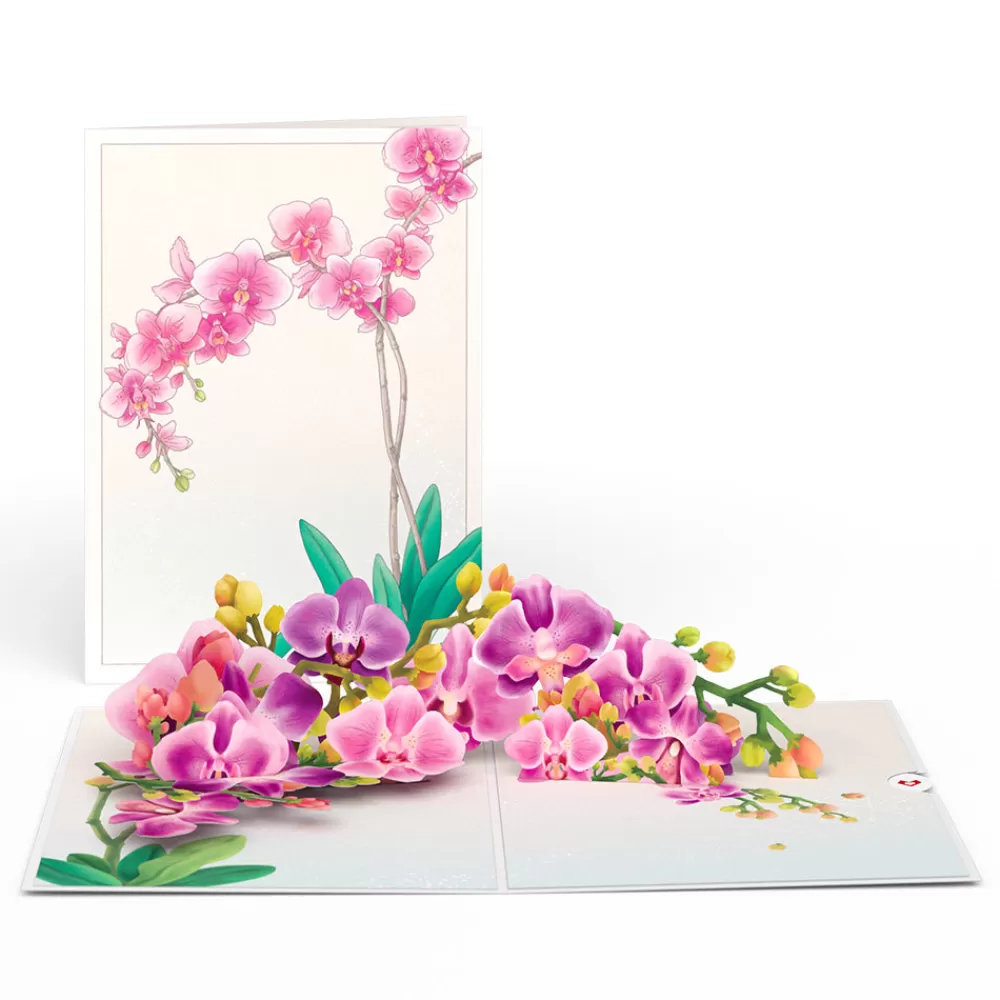 Lovepop Greeting Cards | Birthday | Watercolor Orchid Pop-Up Card