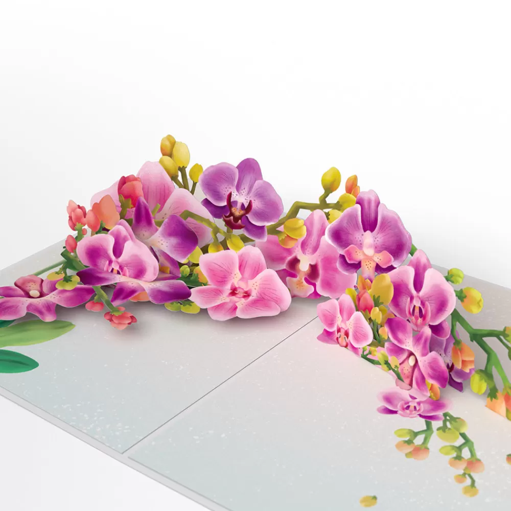 Lovepop Greeting Cards | Birthday | Watercolor Orchid Pop-Up Card
