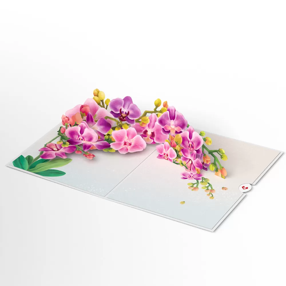Lovepop Greeting Cards | Birthday | Watercolor Orchid Pop-Up Card