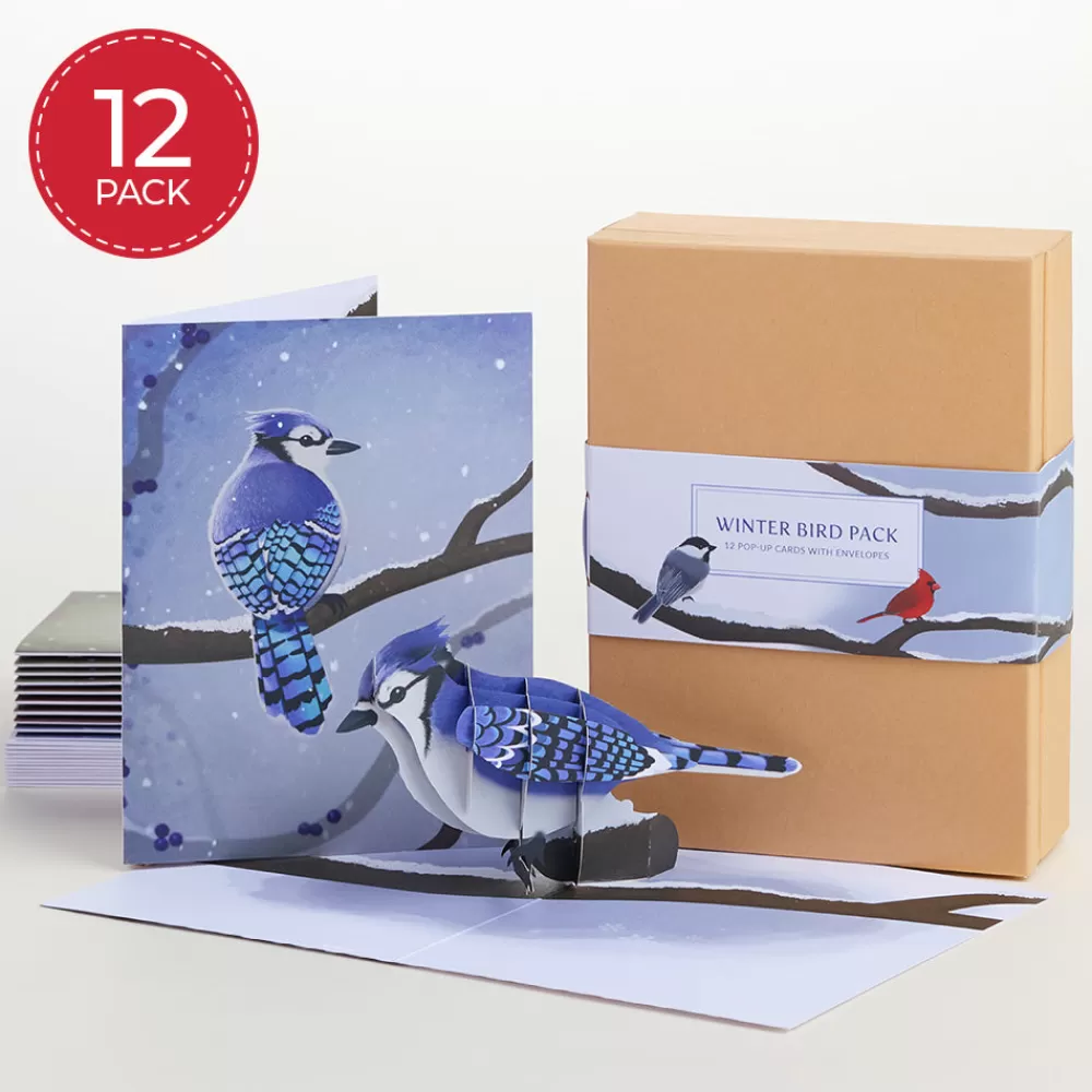 Lovepop Value Packs | Winter Bird Box Set (Assorted 12-Pack): Paperpop® Card