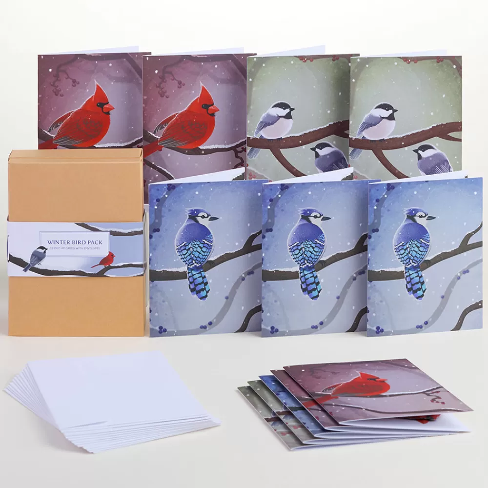 Lovepop Value Packs | Winter Bird Box Set (Assorted 12-Pack): Paperpop® Card