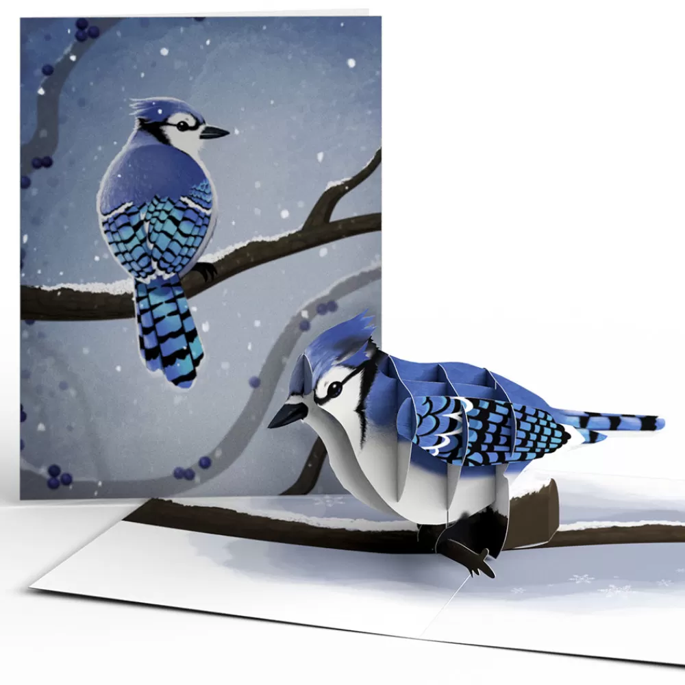 Lovepop Value Packs | Winter Bird Box Set (Assorted 12-Pack): Paperpop® Card