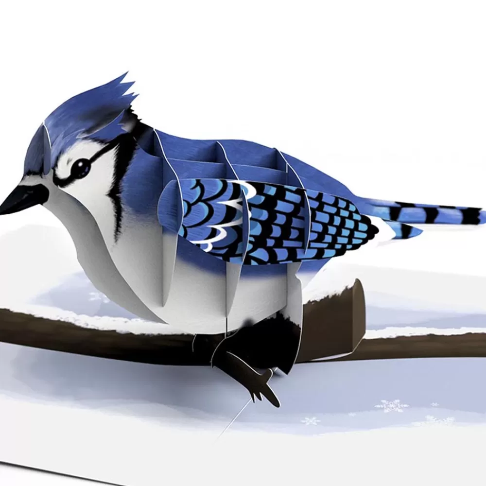 Lovepop Value Packs | Winter Bird Box Set (Assorted 12-Pack): Paperpop® Card