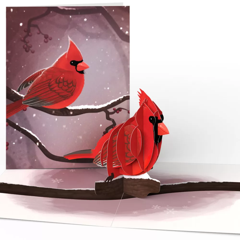 Lovepop Value Packs | Winter Bird Box Set (Assorted 12-Pack): Paperpop® Card