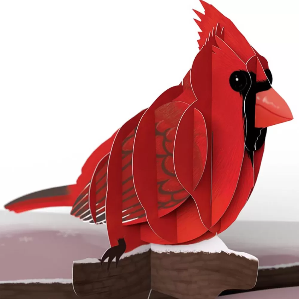 Lovepop Value Packs | Winter Bird Box Set (Assorted 12-Pack): Paperpop® Card