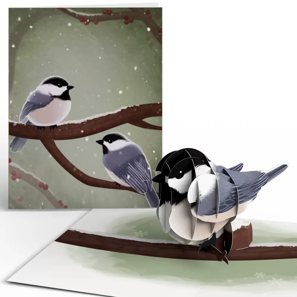 Lovepop Value Packs | Winter Bird Box Set (Assorted 12-Pack): Paperpop® Card