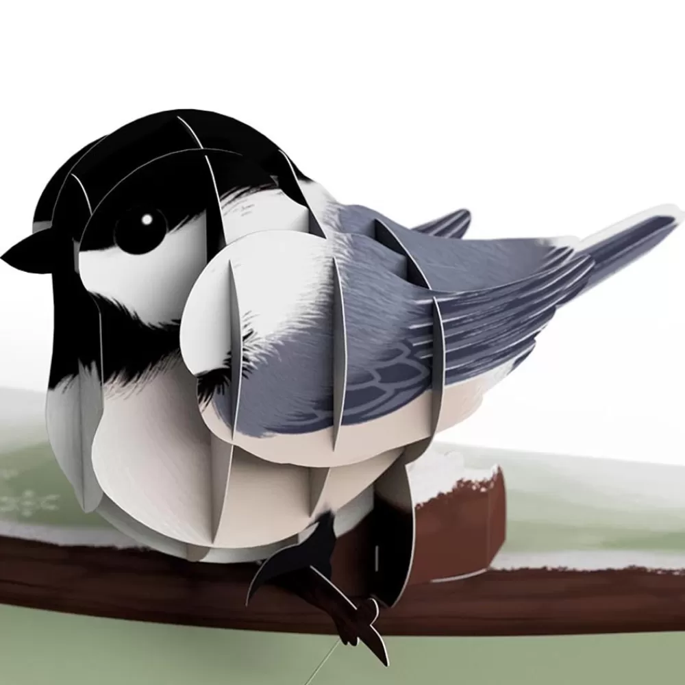 Lovepop Value Packs | Winter Bird Box Set (Assorted 12-Pack): Paperpop® Card