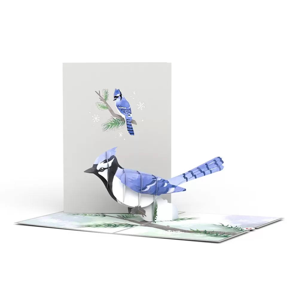 Lovepop Greeting Cards | Just Because | Winter Blue Jay Pop-Up Card