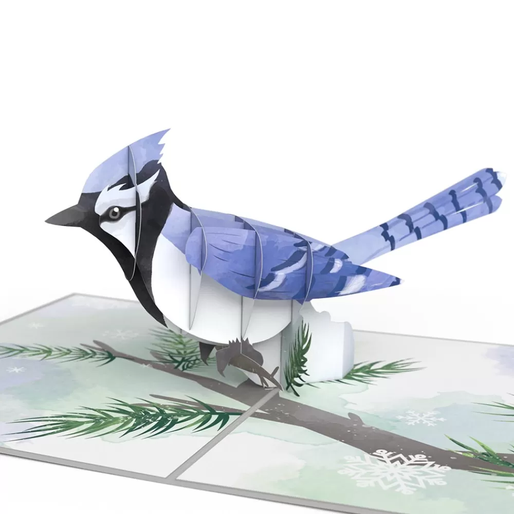 Lovepop Greeting Cards | Just Because | Winter Blue Jay Pop-Up Card