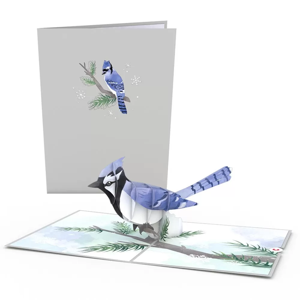 Lovepop Pop-Up Bouquets | Card & Gift Bundles | Winter Wishes Blue Jay Bundle