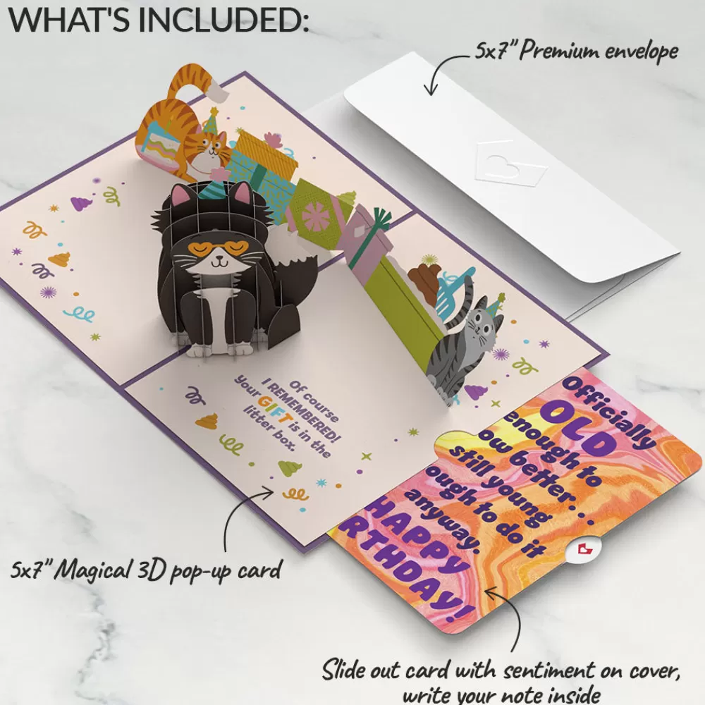 Lovepop Birthday | Your Gift Is in the Litterbox Birthday Cat Pop-Up Card and Sentiment Set