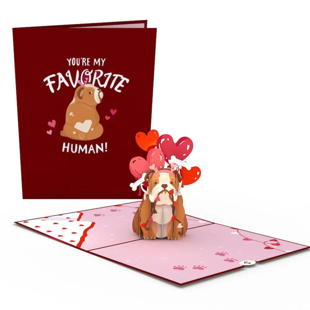 Lovepop Greeting Cards | Anniversary | You’re My Favorite Human Pop-Up Card